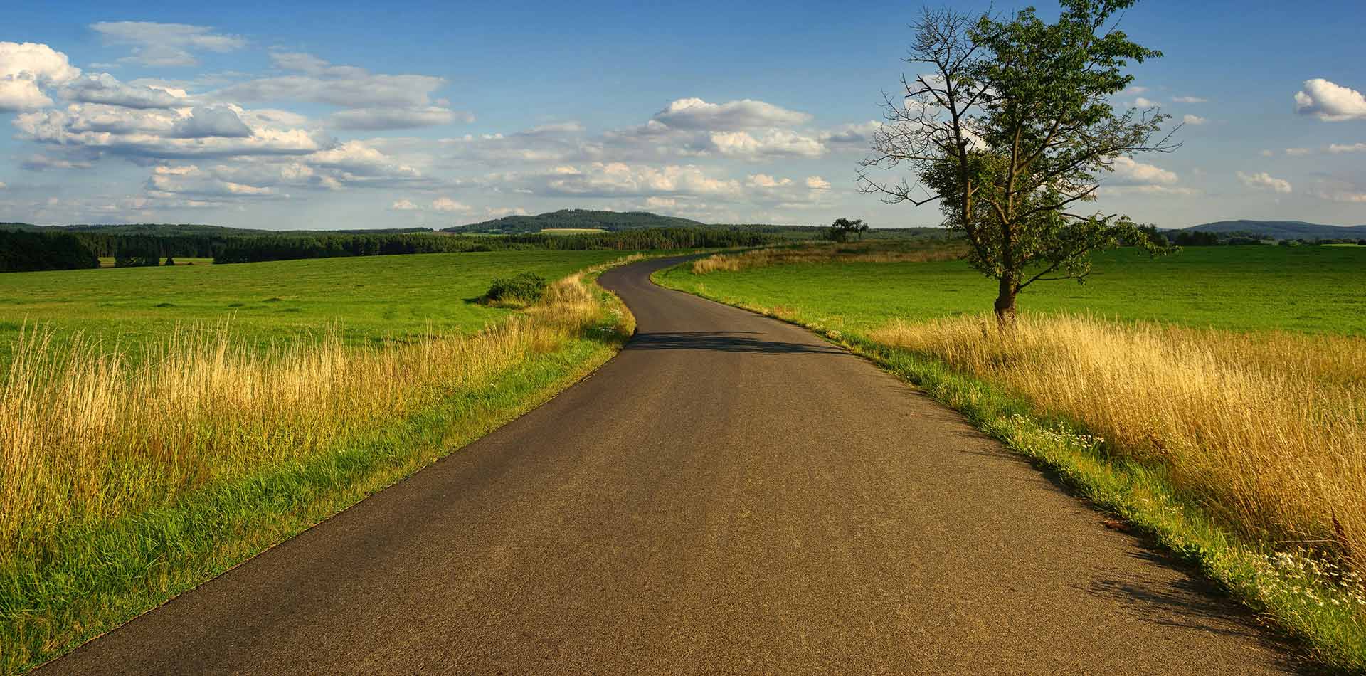 Header background image: winding country road